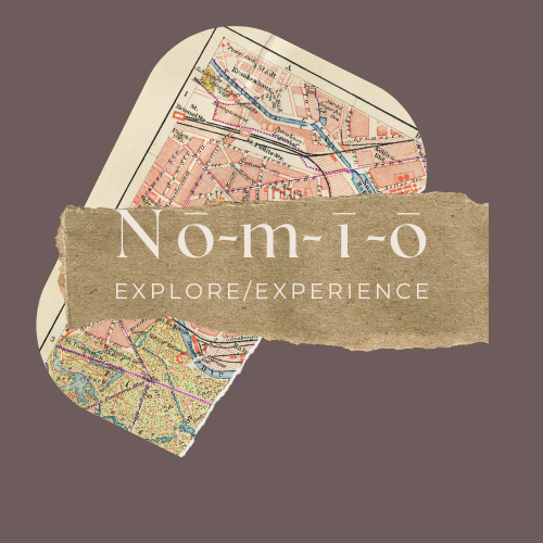 Travel Nomio logo